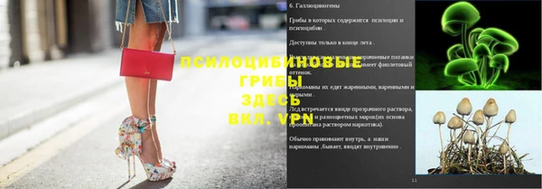 амф Абаза